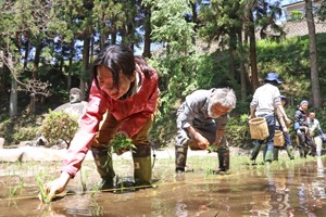 万治田植え