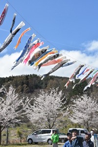 *200419花岡公園こいのぼり