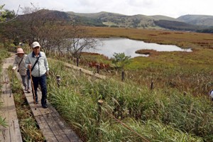 八島草紅葉200929