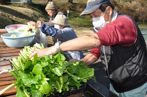 ＨＰ荒神山のお菜洗い201210