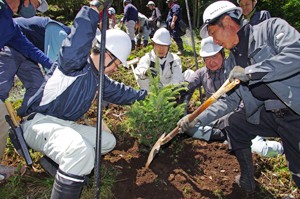 御柱の森植樹